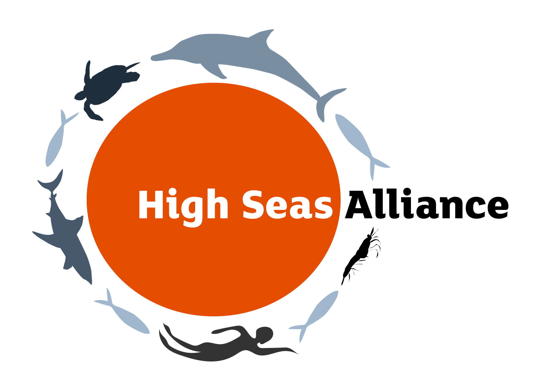High Seas Alliance Logo