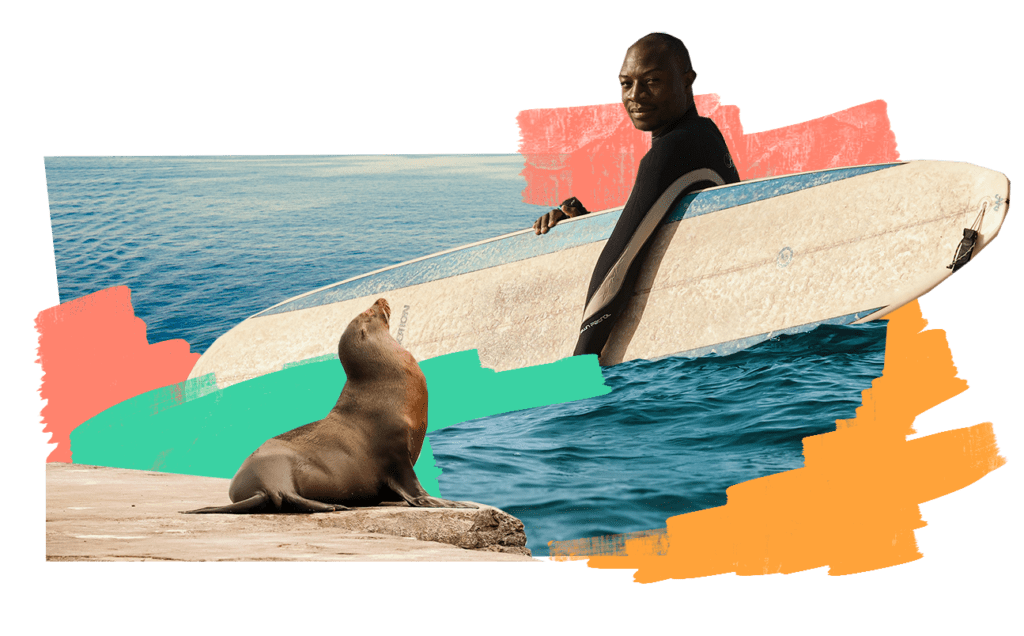 Man with surf board and seal