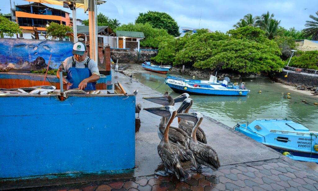 a fishing community in the galapagos